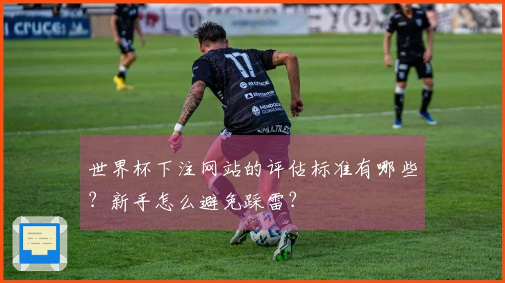世界杯下注网站的评估标准有哪些？新手怎么避免踩雷？