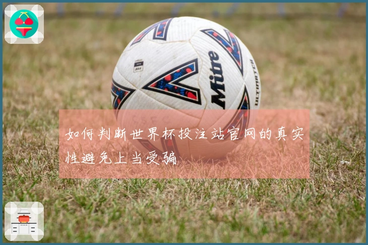如何判断世界杯投注站官网的真实性避免上当受骗