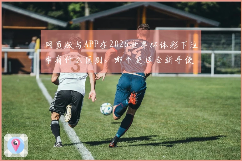 网页版与APP在2026世界杯体彩下注中有什么区别，哪个更适合新手使用？