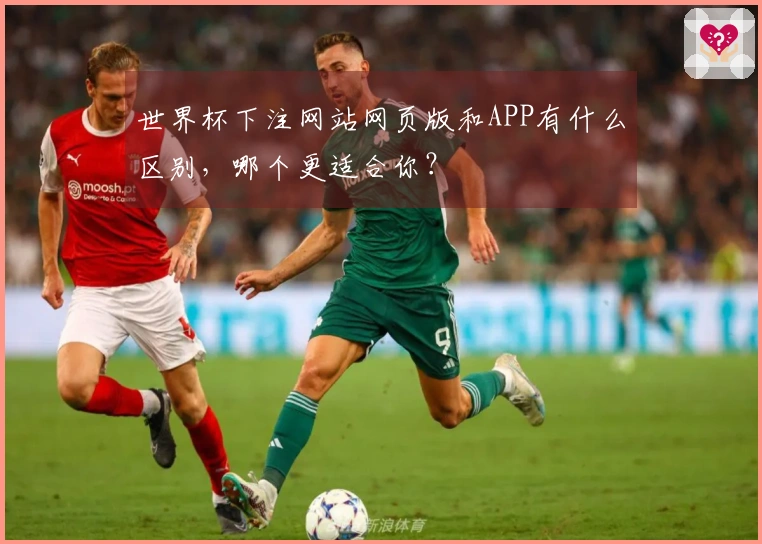 世界杯下注网站网页版和APP有什么区别，哪个更适合你？