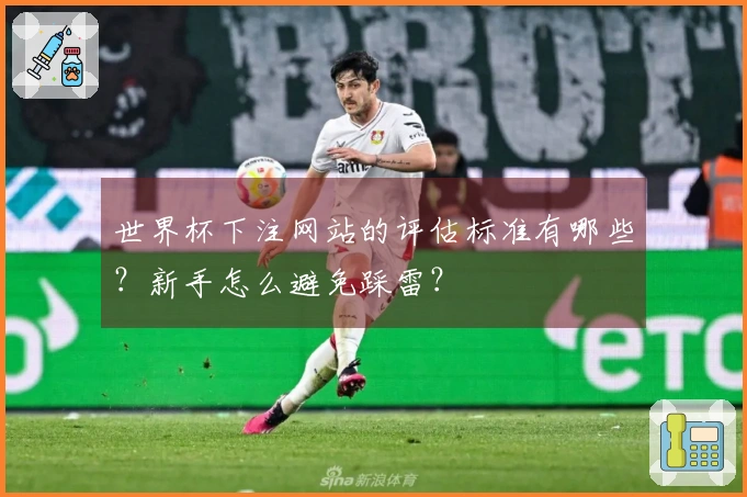 世界杯下注网站的评估标准有哪些？新手怎么避免踩雷？