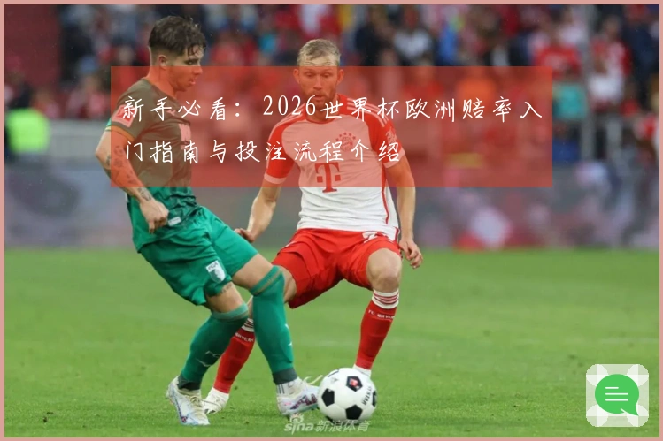 新手必看：2026世界杯欧洲赔率入门指南与投注流程介绍