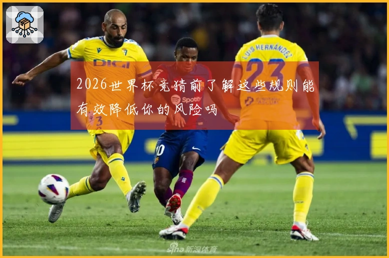 2026世界杯竞猜前了解这些规则能有效降低你的风险吗