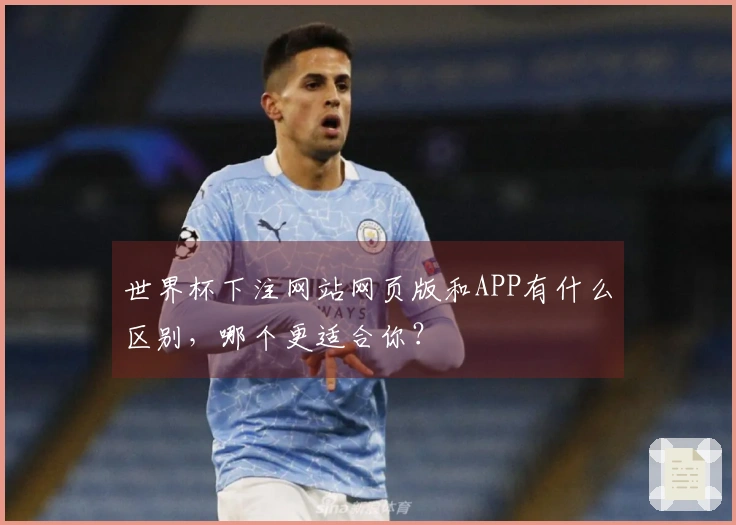 世界杯下注网站网页版和APP有什么区别，哪个更适合你？