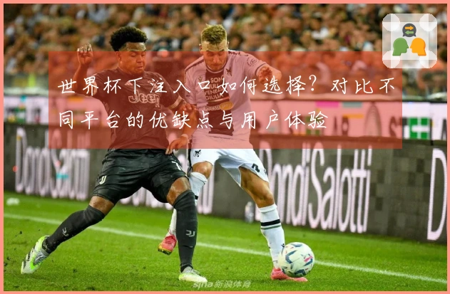世界杯下注入口如何选择？对比不同平台的优缺点与用户体验
